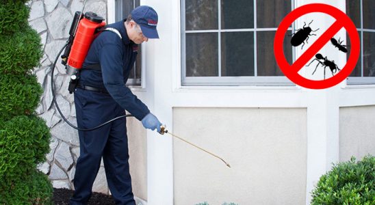 Bodrum Böcek ve Haşere İlaçlama böcek ilaçlama ve haşere kontrolü — ilaclama-tr.com